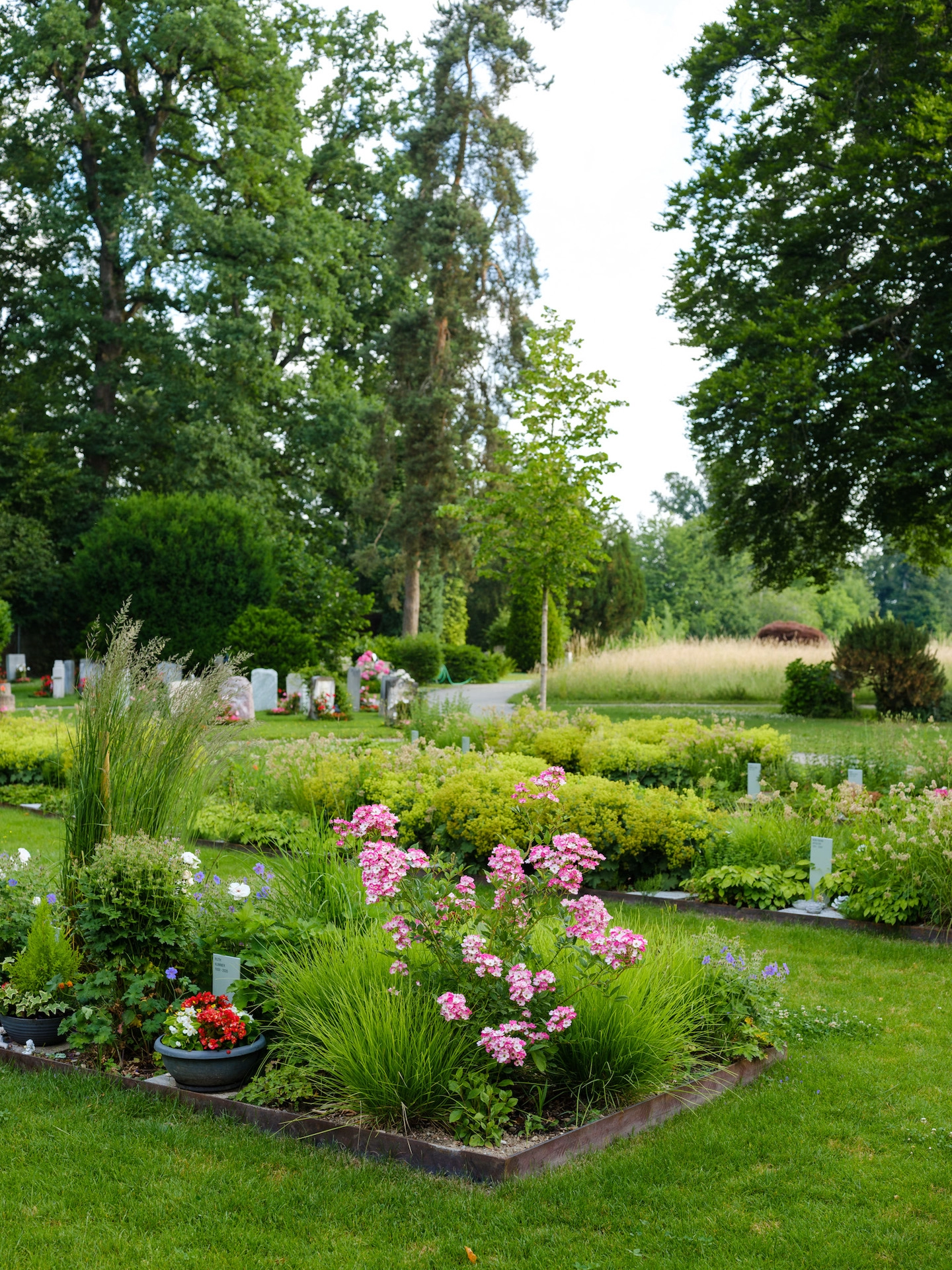 201803 Friedhof Zollikofen Bild 1