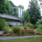 201913 Botanischer Garten Bern Bild 5*