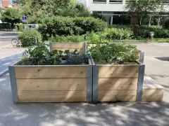 202214 Urban Gardening BFH Marzili Bild 4*